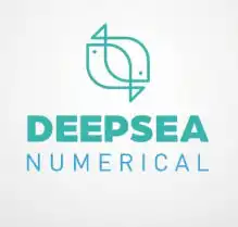 DeepSea Numerical