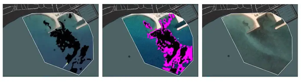 Degradation of Podsidonia